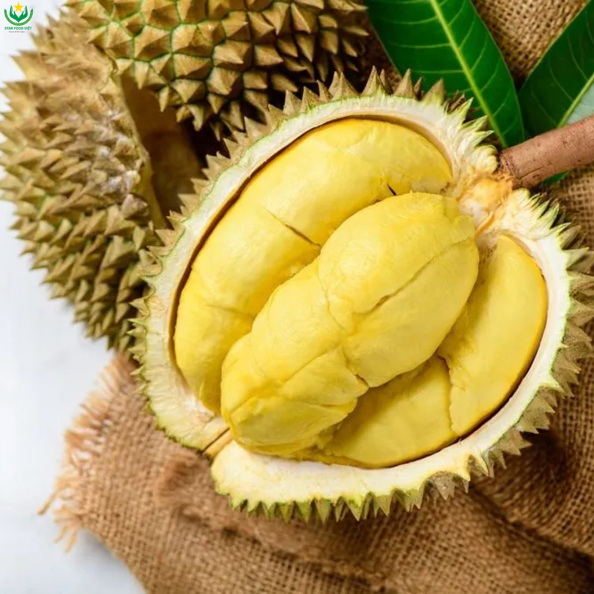 Sầu riêng Monthong