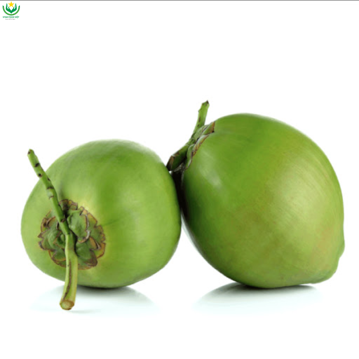 dừa xiêm nguyên trái