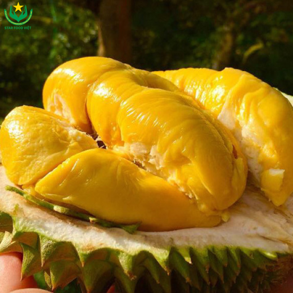Sầu riêng Musang King